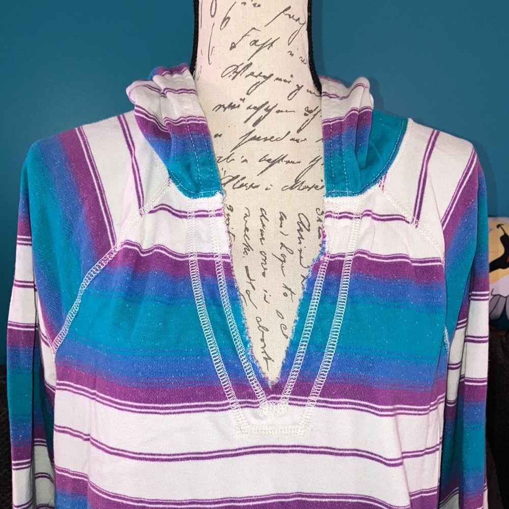 American Eagle Striped Hoodie, Large - Picture 2 of 6